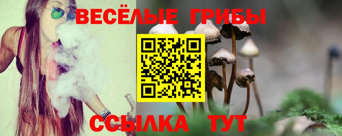 Псилоцибиновые грибы ЛСД Коряжма